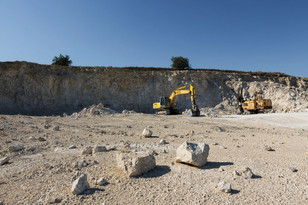 tree and brush removal by excavation pro la in Los Angeles